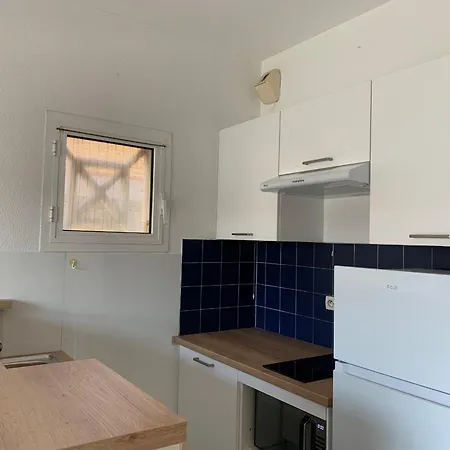 公寓 - Cabine: 4 Pers, Proche Plages Et Commerces, Menage Inclus - Fr-1-319-191 比斯卡罗斯海滩