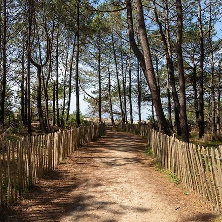 Appartement - Cabine: 4 Pers, Proche Plages Et Commerces, Menage Inclus - Fr-1-319-191