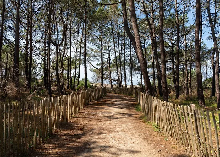 Apartamento - Cabine: 4 Pers, Proche Plages Et Commerces, Ménage Inclus - Fr-1-319-191